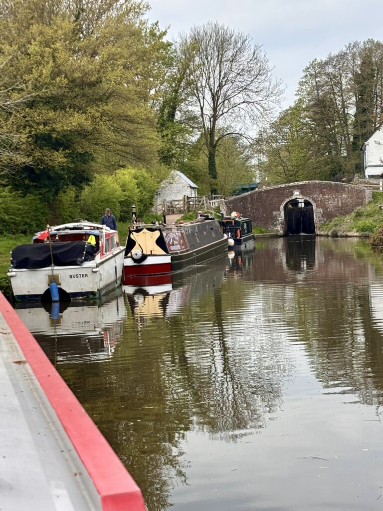 Traffic jam at Colwich Lick